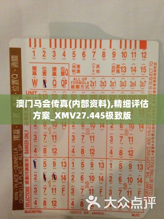 正版马会传真资料内部:全面贯彻解释落实