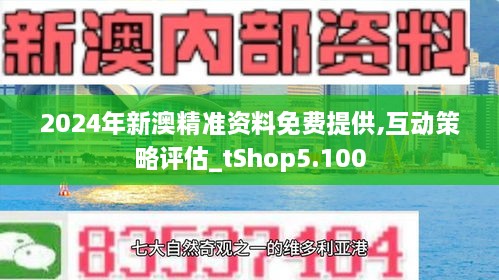 2024-2025新澳精准正版资料109:词语释义解释落实