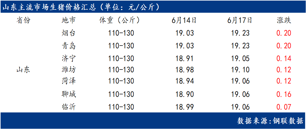 山东生猪价格今日猪价最新行情分析