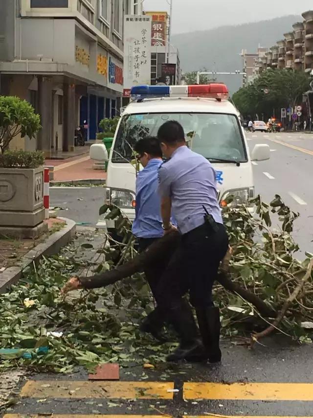 台风天鸽最新消息今天